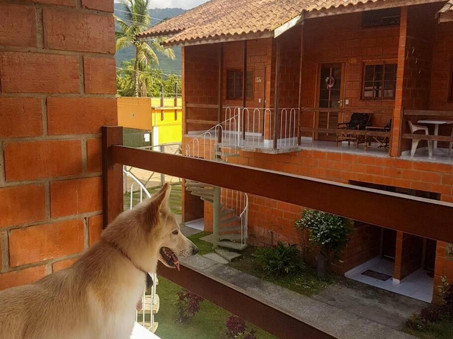200 Mts Do Sape Com Piscina Ubatuba